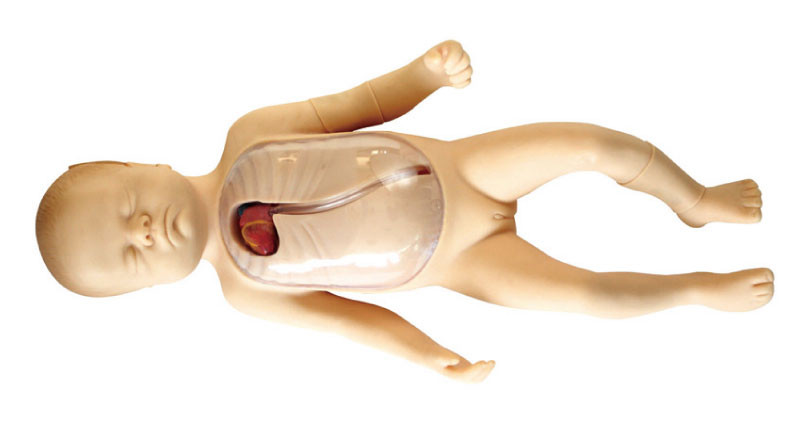 Manichino del neonato con simulazione centrale marginalmente inserita del bambino del catetere